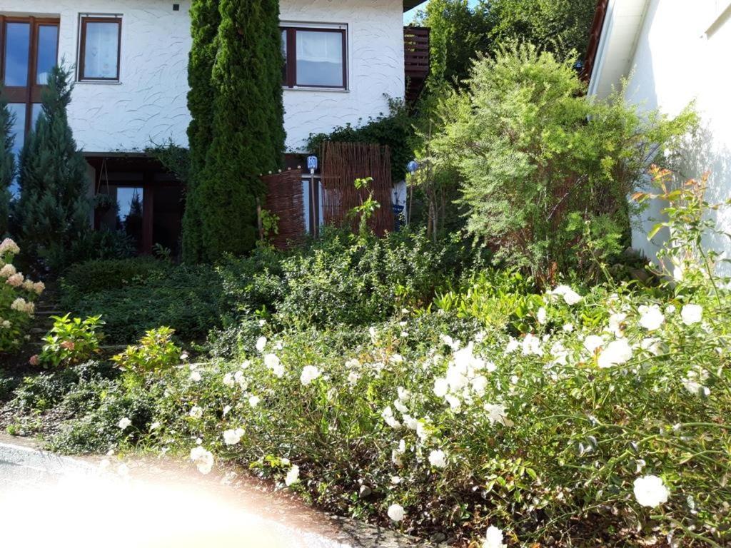 Ferienwohnung Rosa Muller Wangen im Allgäu Dış mekan fotoğraf