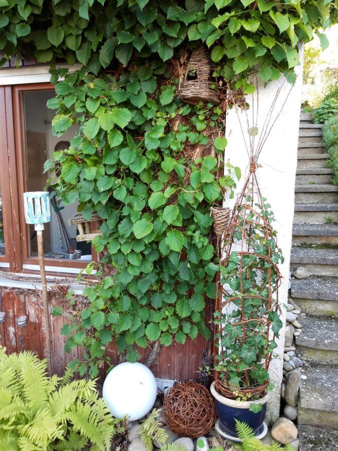Ferienwohnung Rosa Muller Wangen im Allgäu Dış mekan fotoğraf